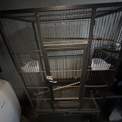 Bird Cage