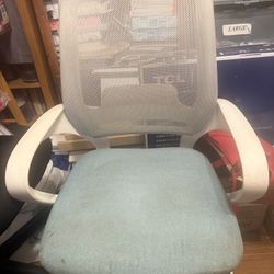 Computer/Desk Chair