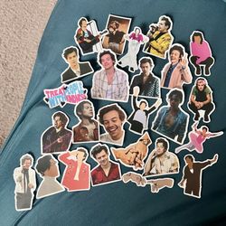 Harry Styles Vinyl Waterproof Stickers for Mugs, Laptop, Luggage, etc.