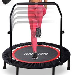 Exercise Rebounder