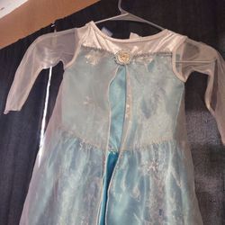 Disney Zippered Elsa Dress