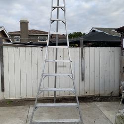 11 Foot Aluminum Orchard Ladder Good Condition  $250.00