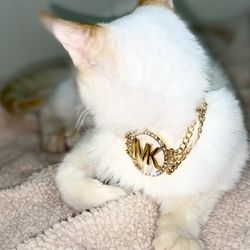 Michael Kors Golden Adjustable Bracelet 