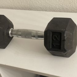 12 Pound Dumbbell 