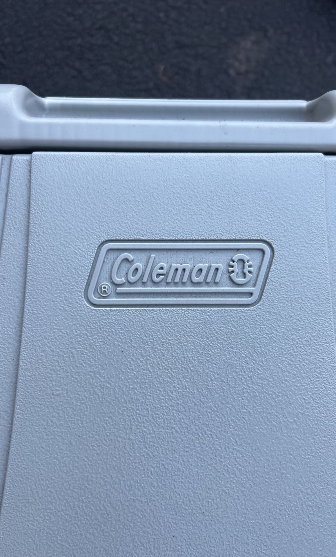 Coleman Electric Travel Cooler