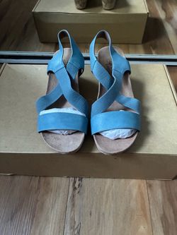 Blue wedges