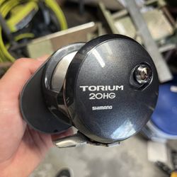 Shimano Torium 20