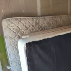 Queen Sized Box Springs, Mattresses And Frames. Free. 