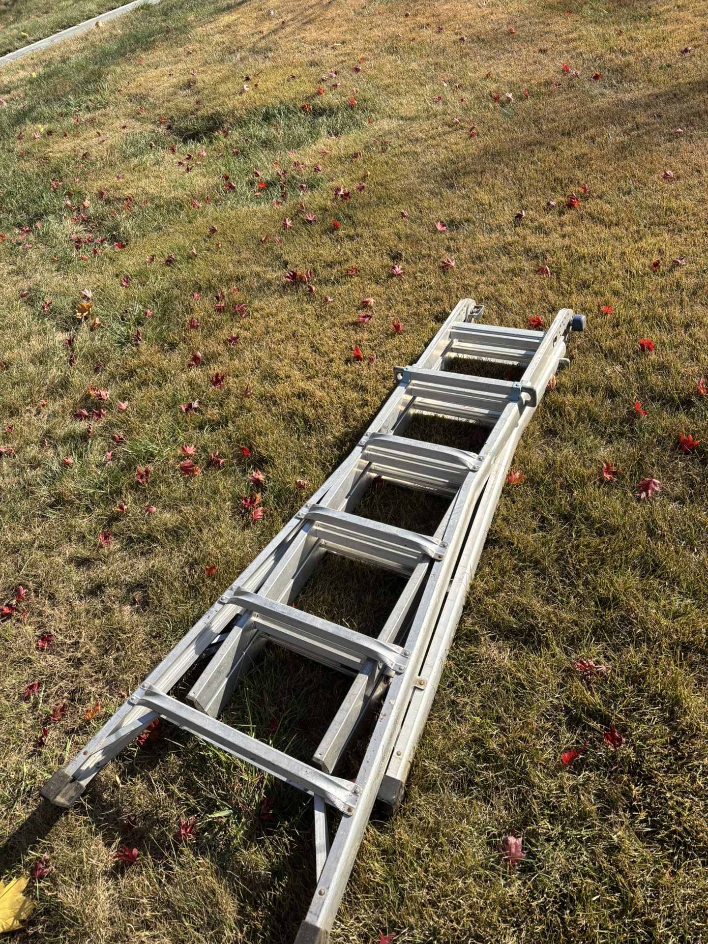 Ladder