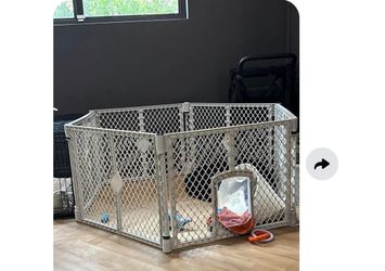 My pet pet yard