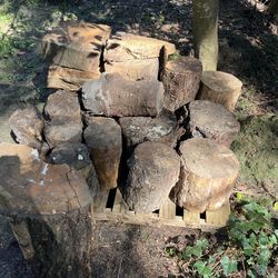 Free old firewood