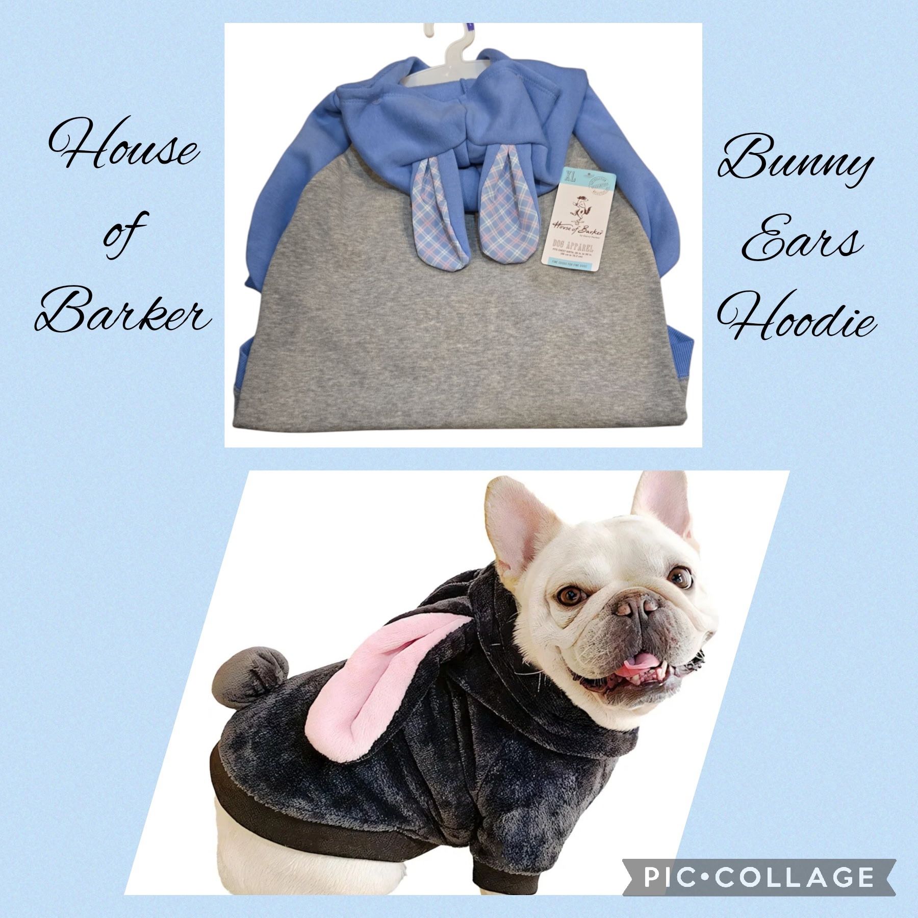 House of Barker Dog Hoodie with Bunny Ears