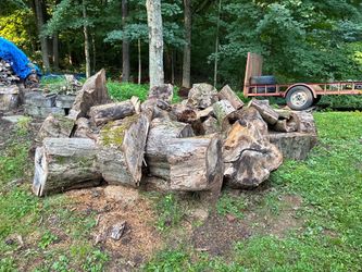 Free firewood