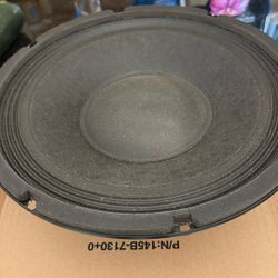 2 -10 Inch Bass Guitar Speakers 