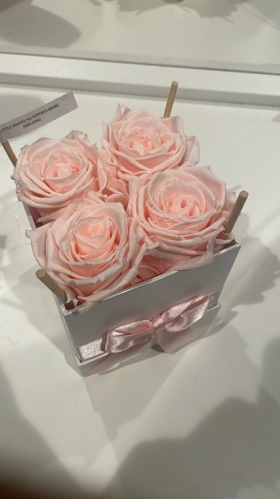 Colombian Eternal Flowers