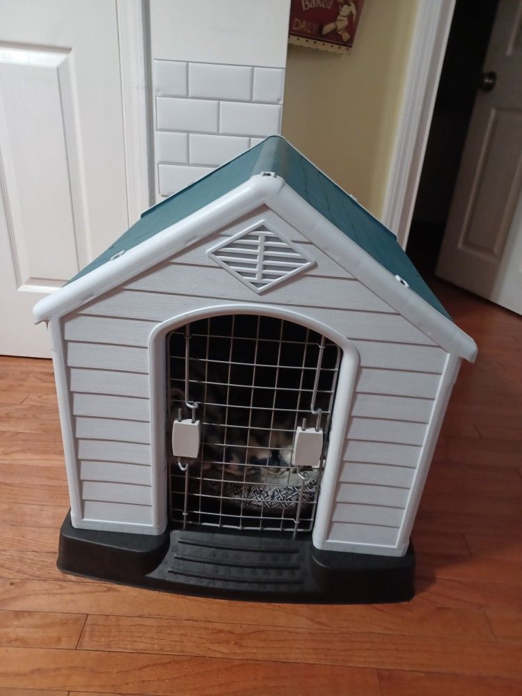 Dog House 