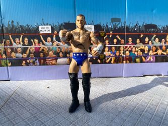 WWE Elite / Action Figure : CM Punk