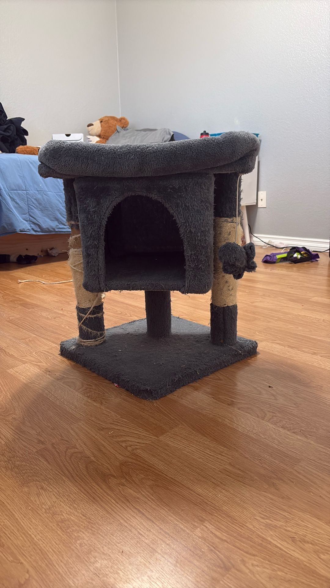 Cat House