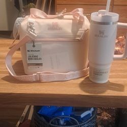 Stanley Julienne Mini Cooler Bundle