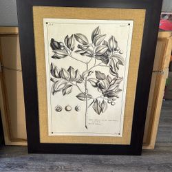 Wild Apple Portfolio 