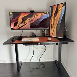 48-Inch Electric Height Adjustable Standing Desk with Memory Preset and Cable Management Tray, Black