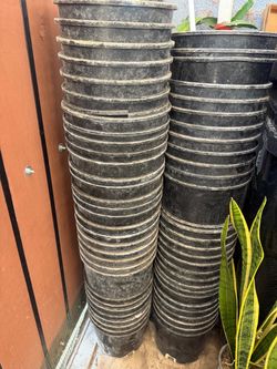 Pots 3g