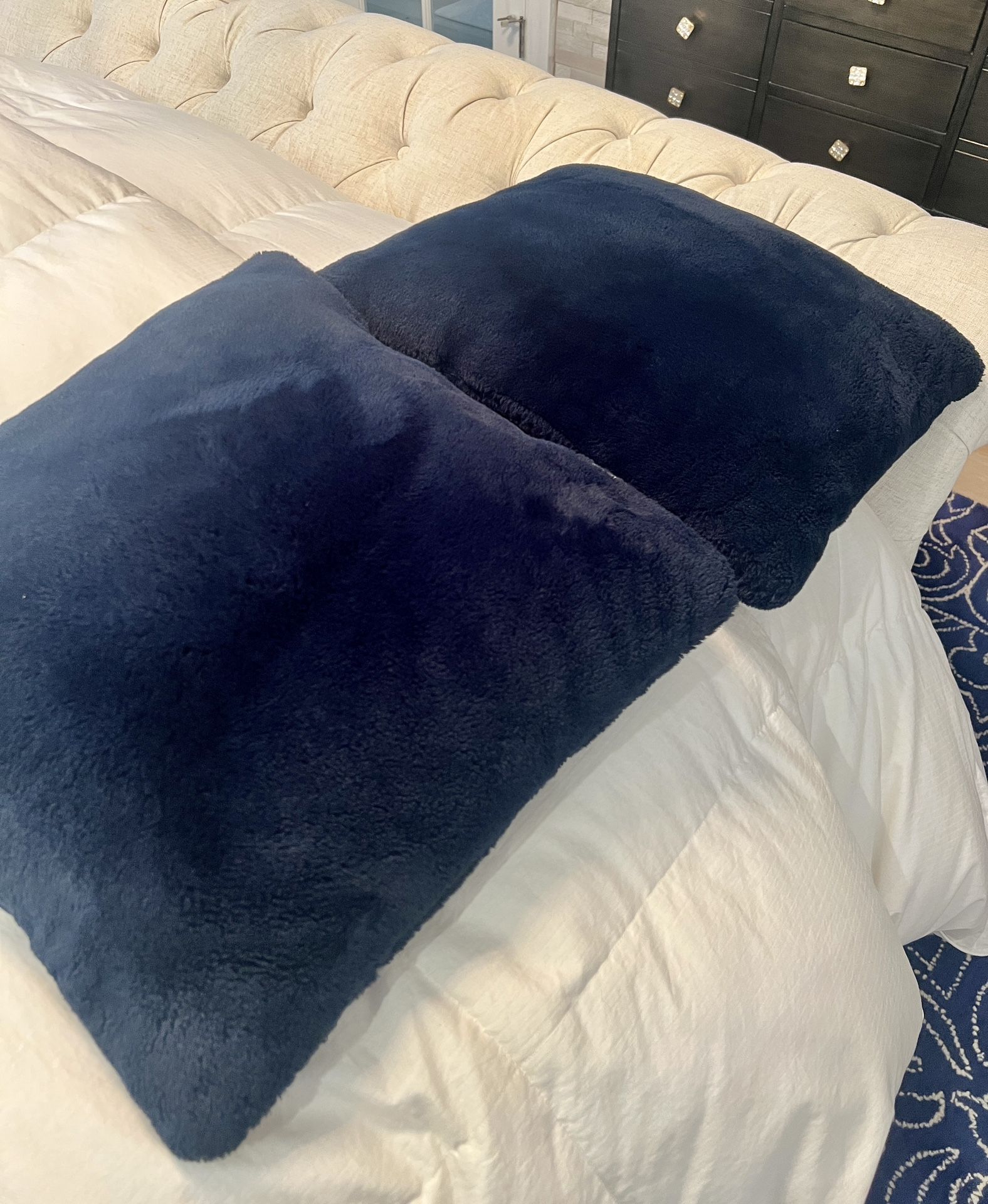 Pair Of Pier 1 Imports Decorative Pillows 