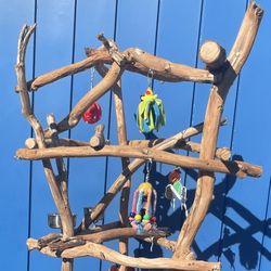 Macaw Perch Tree / A The Perfect Spot For Your Gnarly Macaw! 👍🏼