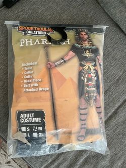 Costume for adults