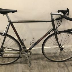 LeMond Alpe D Huez Road Bike Campagnolo 