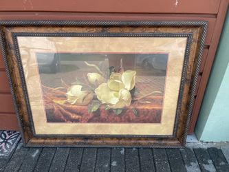 Picture Framed 46”1/2W x 34”H x 2”D in Good Condition $60 Firm on Price