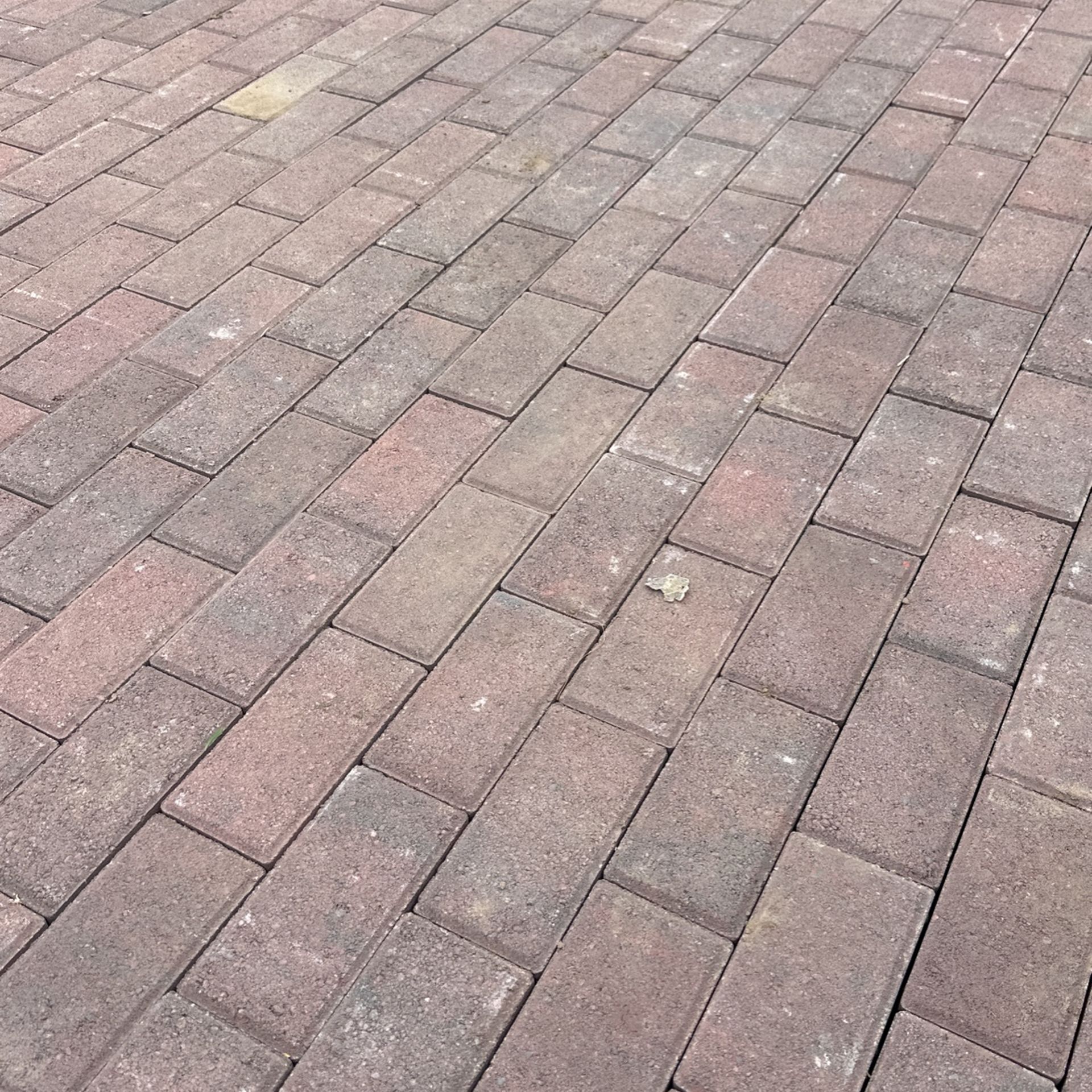 Holland 4 in. x 8 in. Mendocino Rectangle Concrete Paver