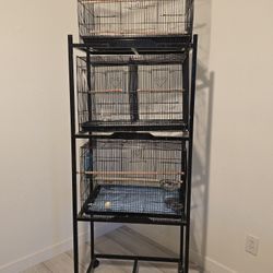 Bird Cage