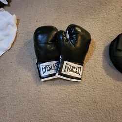 Boxing Gloves And Blocking Pads 