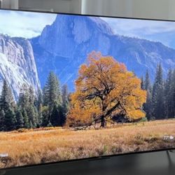 65 Inch TCL With Legs 