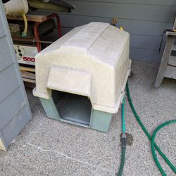 Dog House 