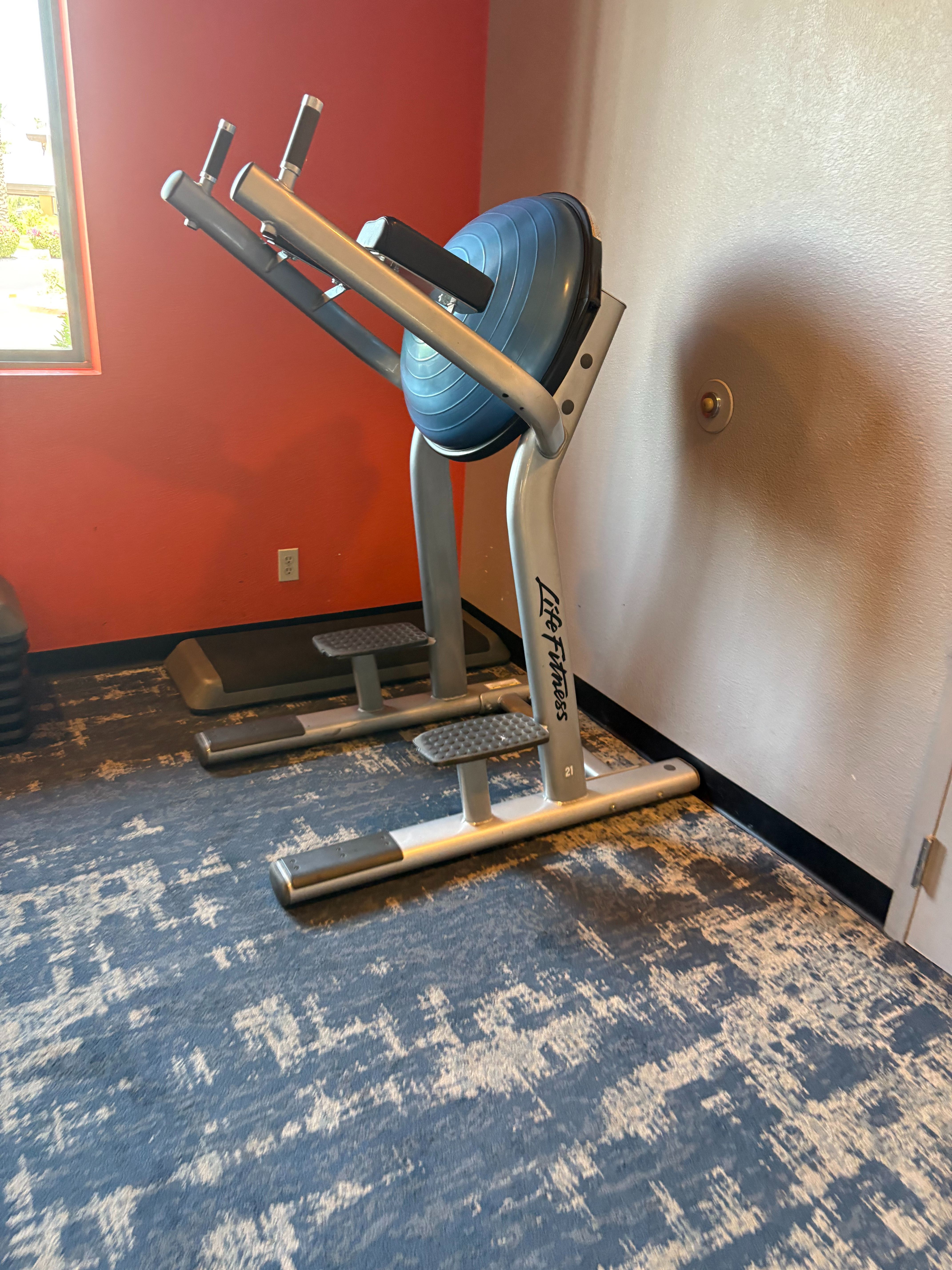 Life Fitness Signature Series Leg Raise VKR