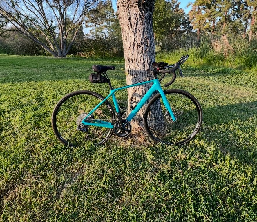 Canyon Endurance CF SL 8.0 19/20 XS Di2 (Women’s) Shimano Ultegra