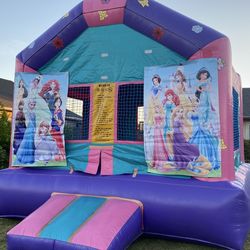 FULL SIZE COMMERCIAL GIRLS BOUNCE HOUSE FOR SALE