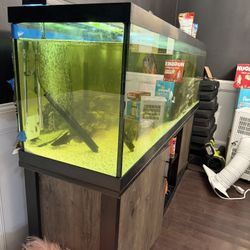 Fish Tank Stand And Pump 