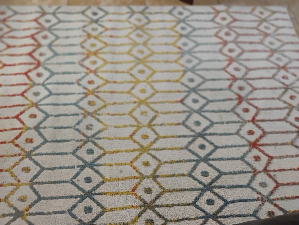 6x4 Area Rug