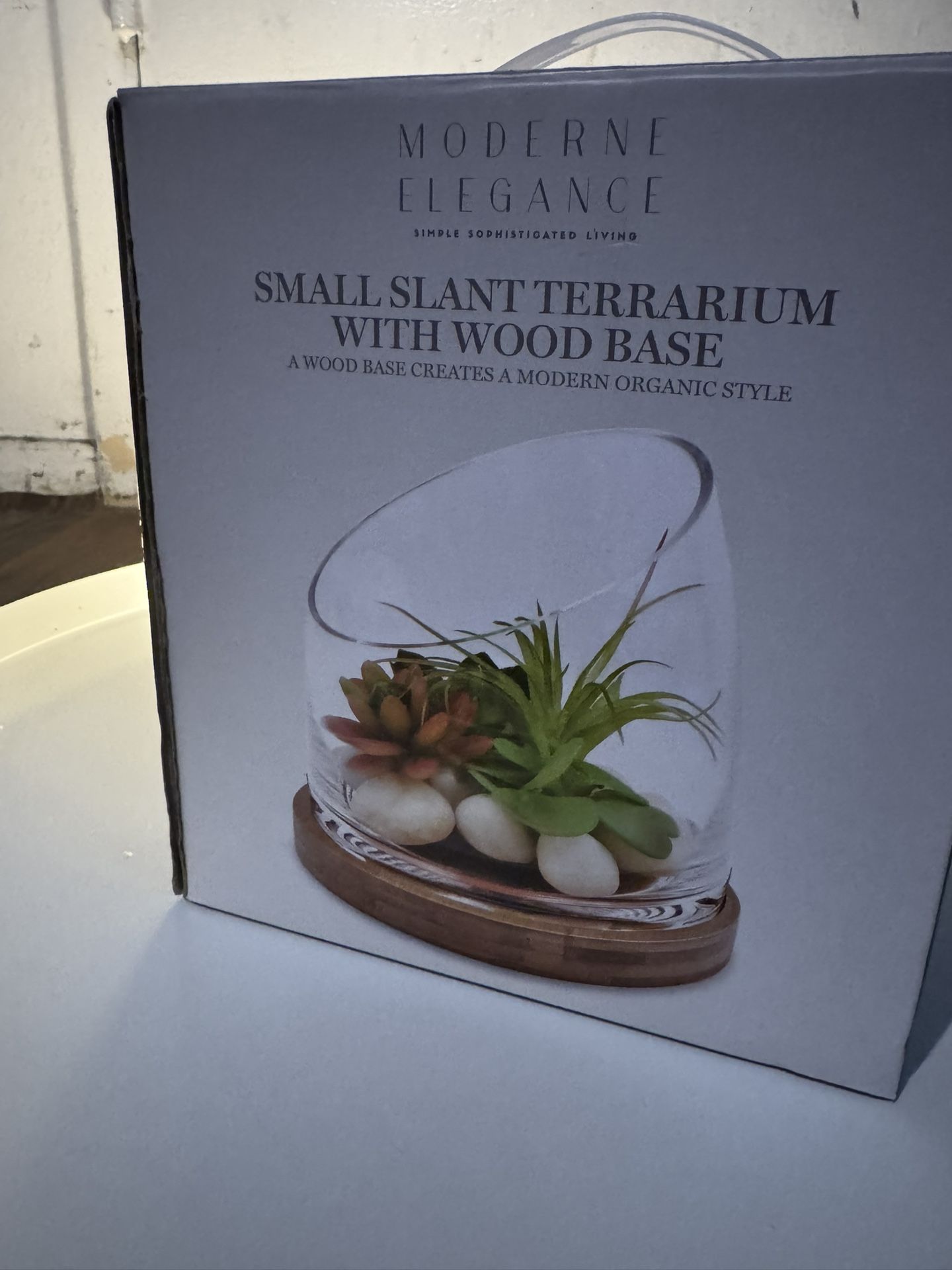 Moderne Elegance Slantterrarium 