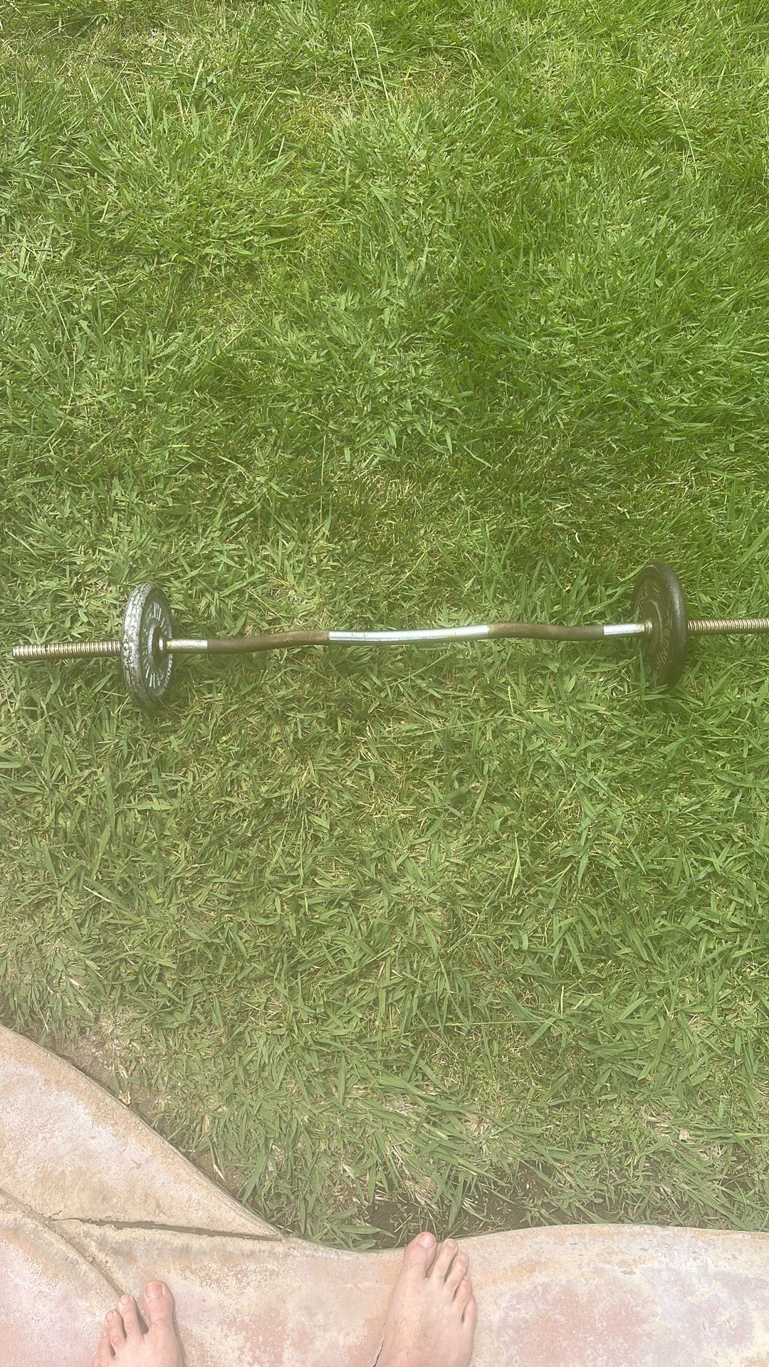 Curl Bar With Weights