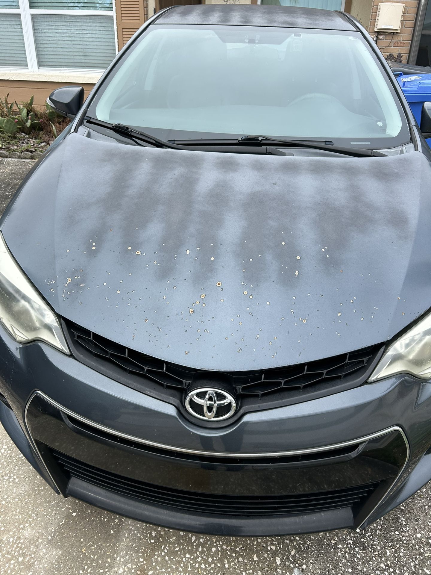 2014-2019 Toyota Corolla Hood 1f9 Gray