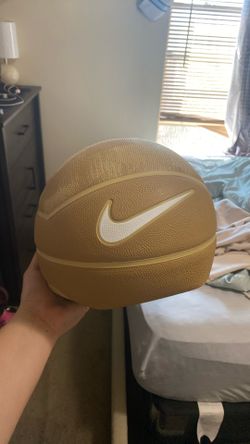 LeBron Basketball