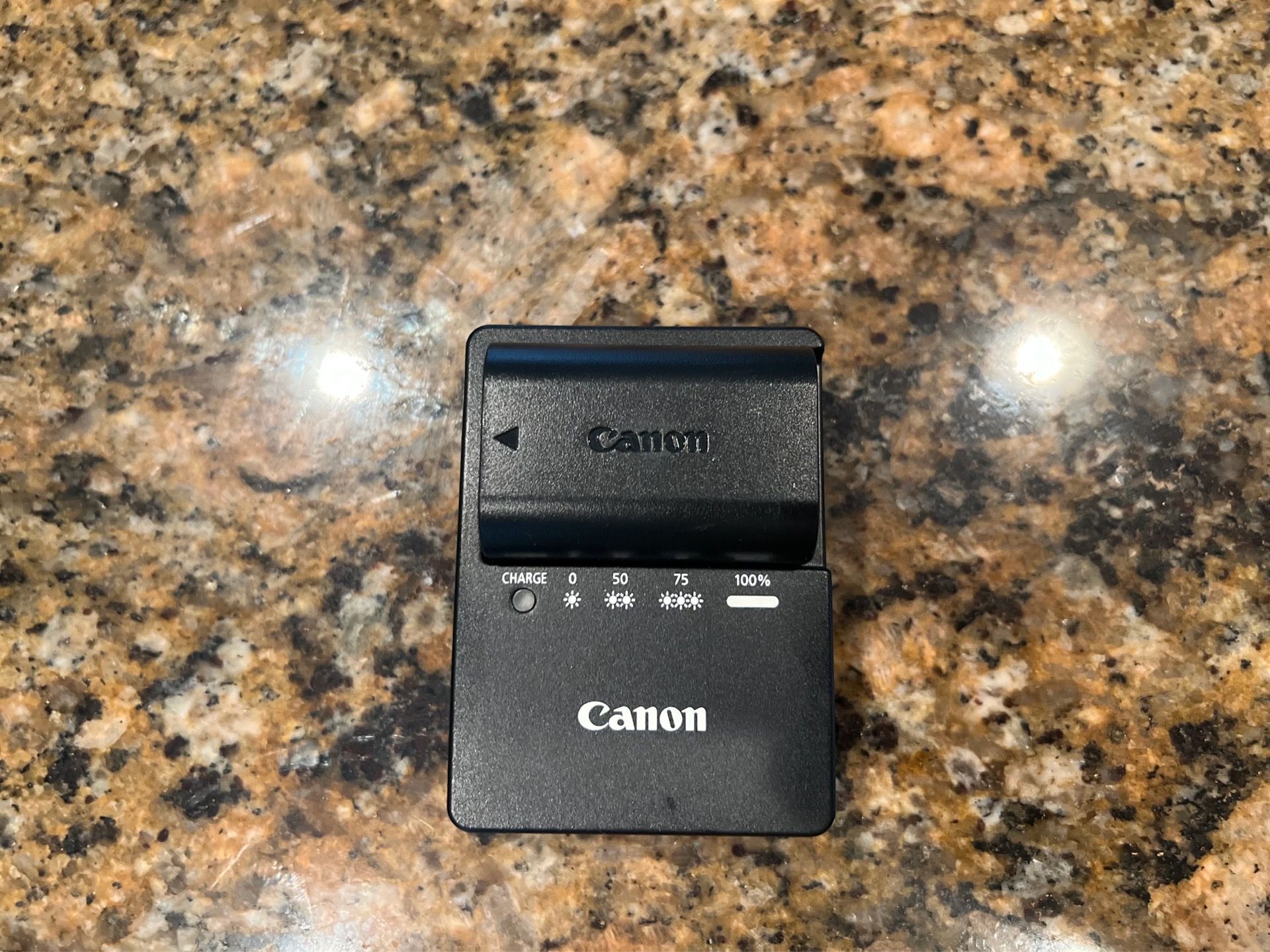 Original Canon LC-E6E Charger & battery