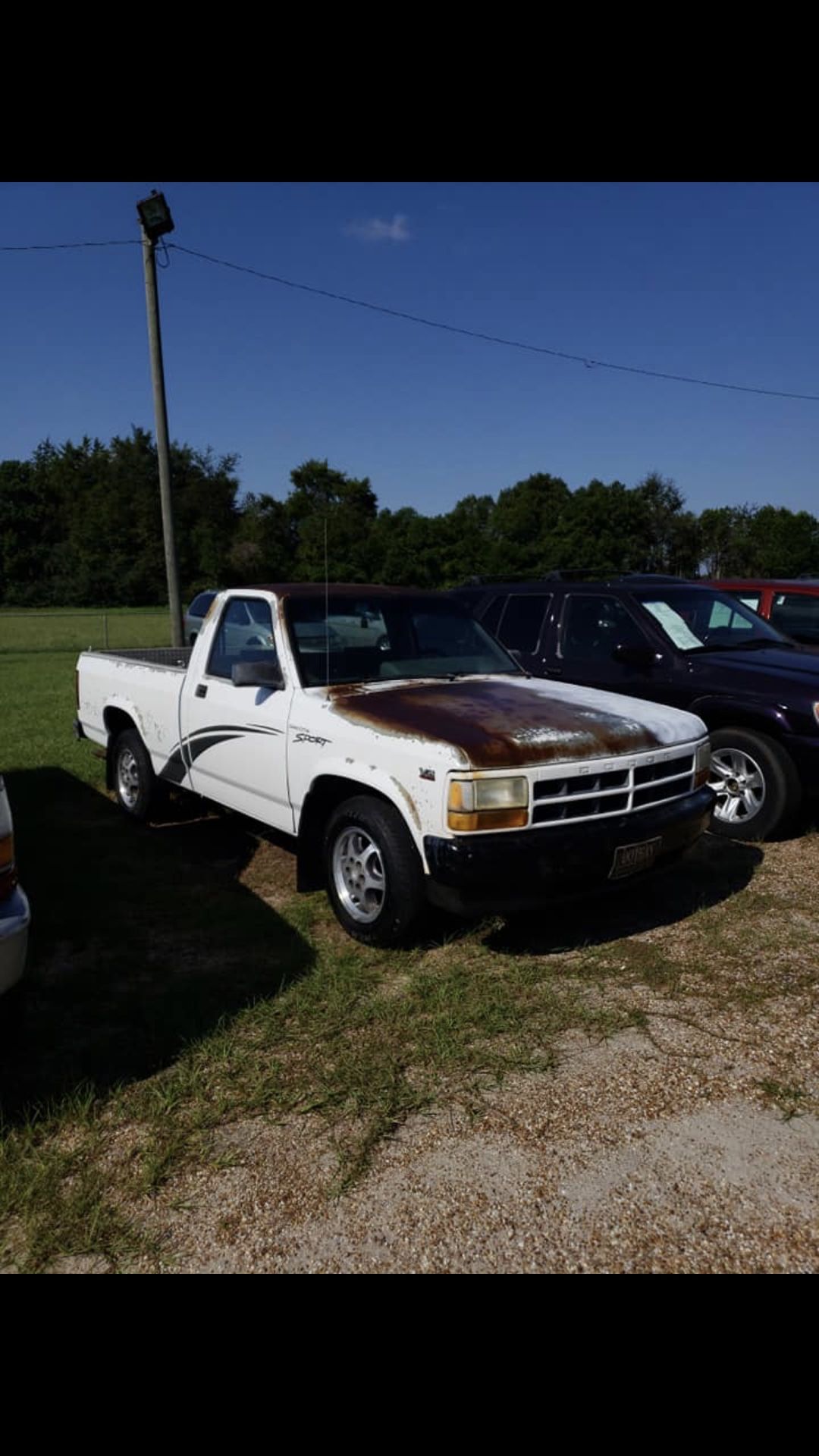 1996 Dodge Dakota