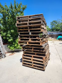 Pallets 40x48