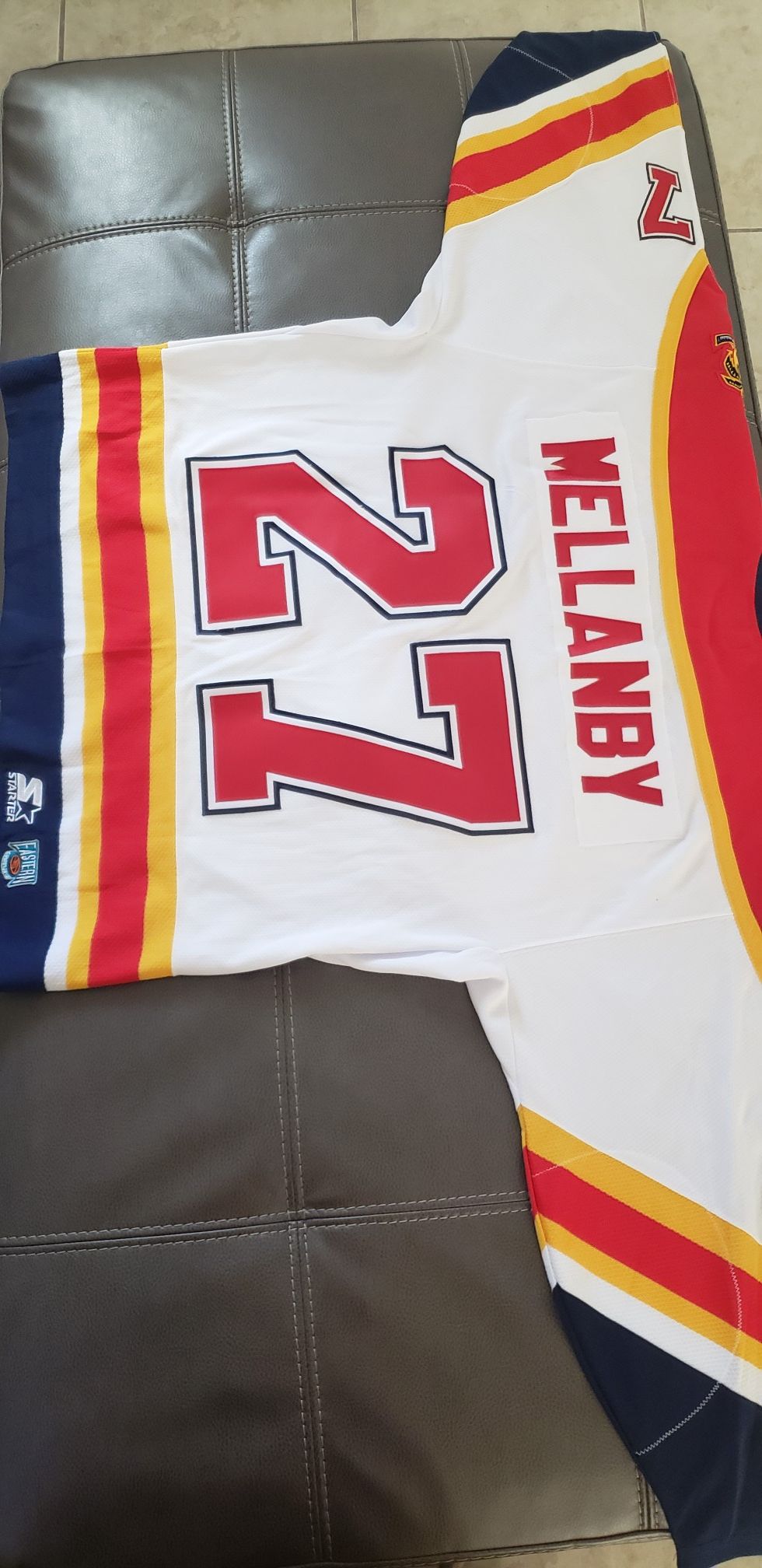 Florida panters jersey