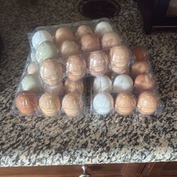 Fresh Eggs